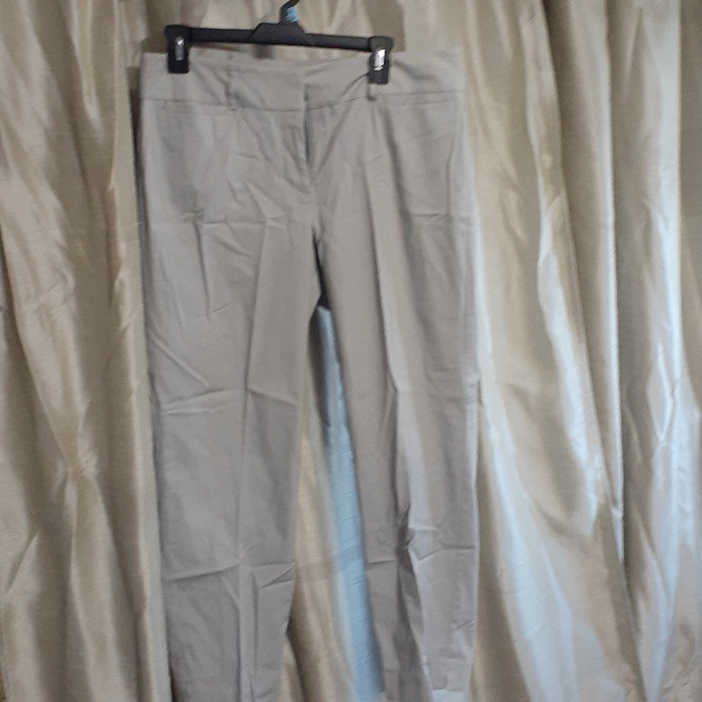 Ann Taylor Womens Ankle pPants